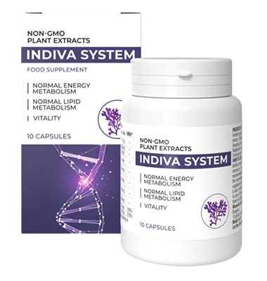 InDiva-System