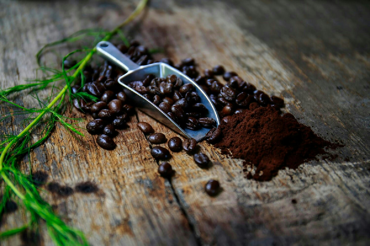 I fondi di caffè nutrienti per le piante: tre modi efficaci per favorire una crescita rigogliosa